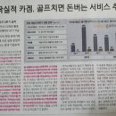 라이온 스크린골프 이미지