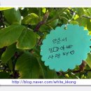 햇살내리는유치원 이미지