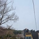 베니아펜션 이미지