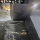 사우북변스팀세차 이미지