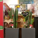 케이프유니스 이미지