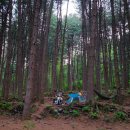 서리산농장 이미지