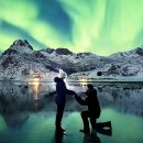 오로라펫 이미지