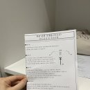 영등포21세기약국 | [임신준비] 나팔관조영술 통증, 시기, 영등포보건소방문