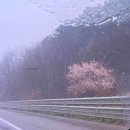 한복 대여 | 하객 예복 한복 (혼주친척) | 화성 동탄 연담한복 | 가볍고 예쁜한복 | 내돈내산 한복대여후기