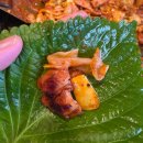 계백수제갈비강원직영점 | < 춘천 퇴계 1번지 닭갈비 > 남춘천역 인근 낮술 가능 메밀전 서비스 철판 닭갈비 전문점