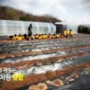 아름솔 유치원 이미지