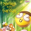 스프링가든 이미지