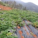 별산농장 이미지