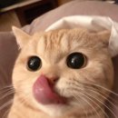 링피시방 이미지