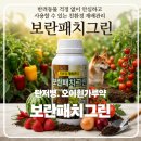 그린들축산 | 고추 탄저병 병해 관리용 유기농자재 보란패치그린 사용 후기｜장마철 대비 텃밭 병해 미리 예방