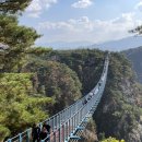 오가네손두부막국수코끼리핫도그 | [원주] 소금산 출렁다리 후기 (경치최고) 주차 입장료 운영시간 맛집 등