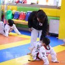 학사태권도 이미지