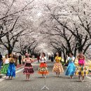 시곡공원 | 대구 달성 벚꽃 명소 2026 달창지길 벚꽃축제 후기 드라이브 데이트