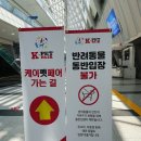 웰케어메디 | 부산 케이펫페어 가격위주 후기!