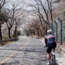 청학동여관 이미지