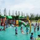 패밀리파크 물놀이시설(수영장) 이미지