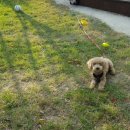 버블웨이셀프세차장 이미지