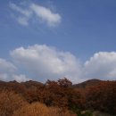 전내 이미지