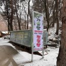 수가솔방 솔잎찜질방 | [평창] 여우재 수가솔방 찜질방 체험기 - 가족과 함께한 특별한 힐링 시간