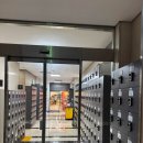 서울대입구 5번출구 | 서울대입구 헬스장 pt 수업 진행 후기