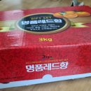귤내음 이미지