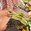 일산 대방어 맛집 원당회포차 가성비 대박