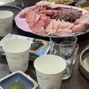 화양참치 이미지