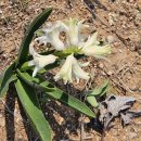 경기둘레길 화성48코스 이미지