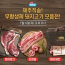아라몰 이미지