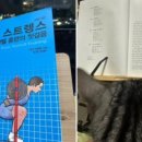 도현메디칼 네이버블로그