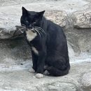 금당한옥펜션 이미지