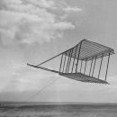 형제종축 이미지