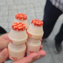 돈나무삼겹살 | [대연동 맛집 삼겹살] 돈나무집, 지리산 삼겹살과 시원한 열무말이 국수 솔직 후기!