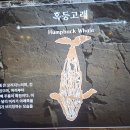 울산암각화박물관
