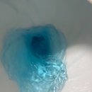 스웰데이 변기세정제 사용 후기 위생적이고 강력한 세정력, 상쾌한 향까지