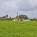 원두천 1 이미지