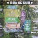 카페로도울 | # 포천 울미숲 애견카페 후기 강아지 마음껏 뛰어노는 대형 운동장 솔직 리뷰