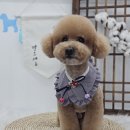 지개동산 이미지