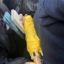 벨포스트 이미지