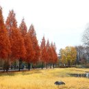 가을에 가면 더 좋은 서울 근교 가을 여행지 BEST 6 이미지