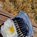 삼봉산_숲길(등산)1코스 | [통영 등산] '힐링 숲'으로 재탄생한 삼봉산