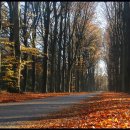 한자로 보는 세상 이미지