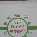 햇빛여행사 이미지