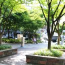 안지랑어린이공원 수 이미지