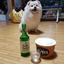 100년건강장수추어탕 이미지