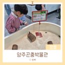 가보자 양주 | 장흥 아이랑 가볼만한 곳 :: 양주곤충박물관 곤충과 소동물, 공룡까지 볼 수 있는