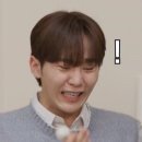데잇트