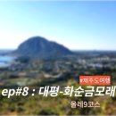 대평마을 | &#34;여행가는달 #8&#34;, 제주 올레 9 코스, 대평-화순금모래