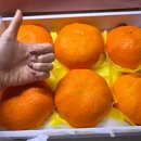 태현농장 이미지